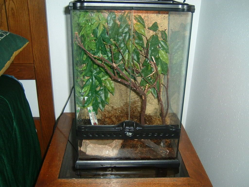 Crested Gecko Cage