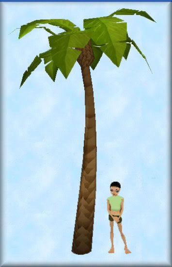 palmtreeipic1.jpg picture by Mutssss