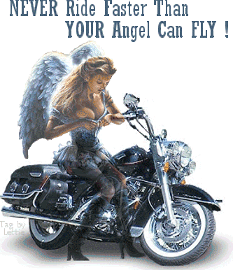 angel on a motorbike sticker