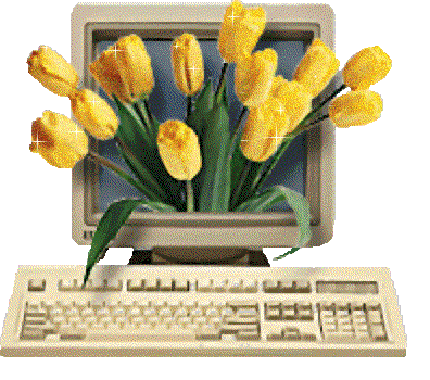 m03p0qe24h.gif picture by mediraz