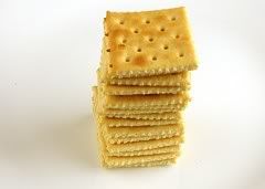 Salted Saltines Crackers [ 50 grams = 200 Calories ] Pictures, Images and Photos