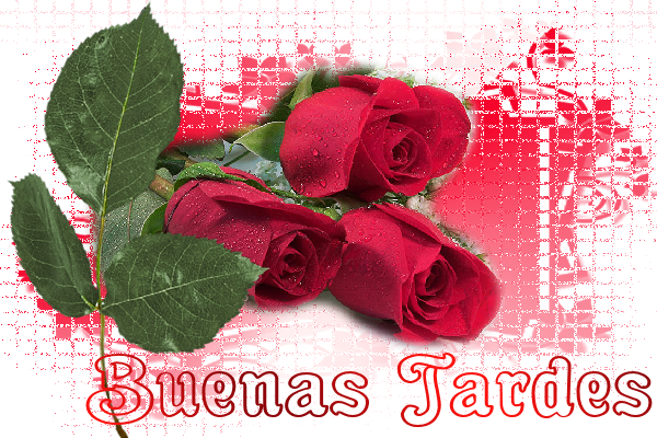 rosa.png picture by JoseA1909
