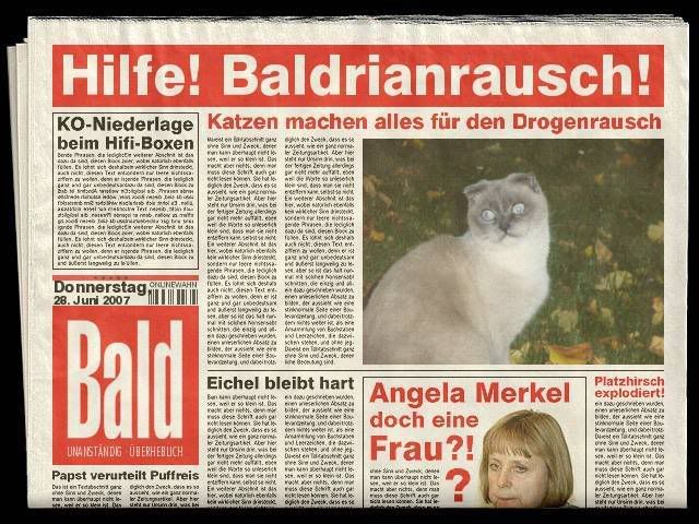 zeitung.jpg