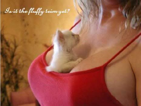 Fluffy Indeed