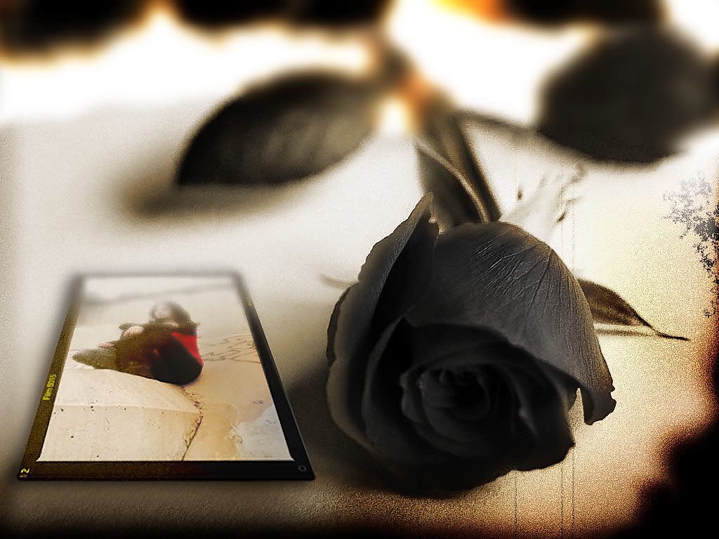 Flowers with tears photo: black rose for Goddess of Tears Black_rose_for_Goddes_of_tears_by_s.jpg