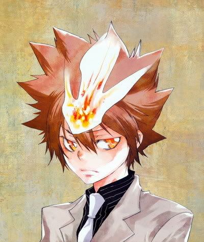 http://i199.photobucket.com/albums/aa173/ChenYuShen/manga/hitman%20reborn/02b_Sawada_Tsunayoshi400.jpg