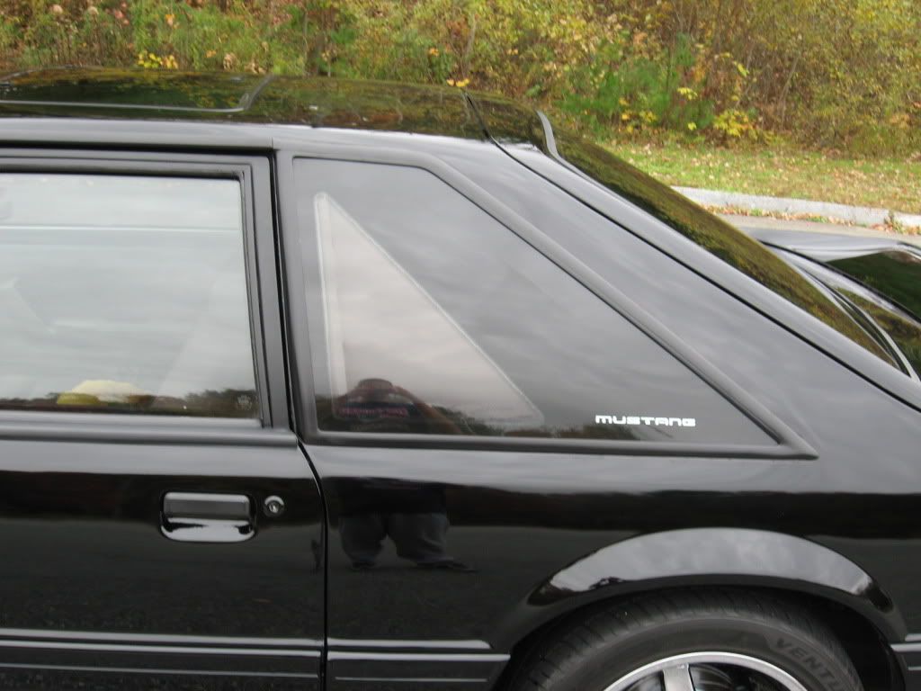 Fox Quarter Windows Restoration Guide