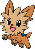 lillipup2.png