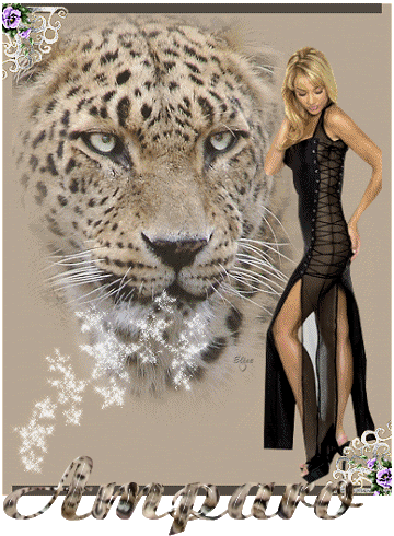 TigreAmparo.gif picture by Amparo_022