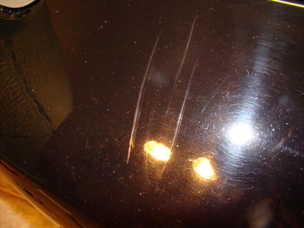 DSC00681.jpg