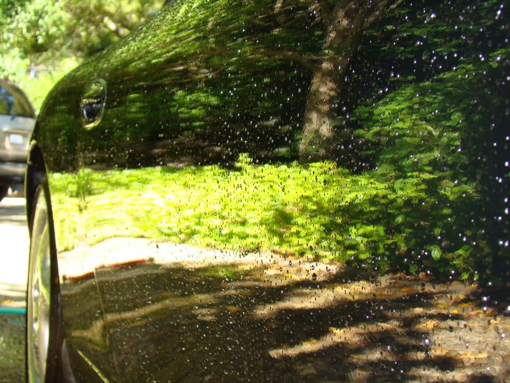 DSC00708.jpg