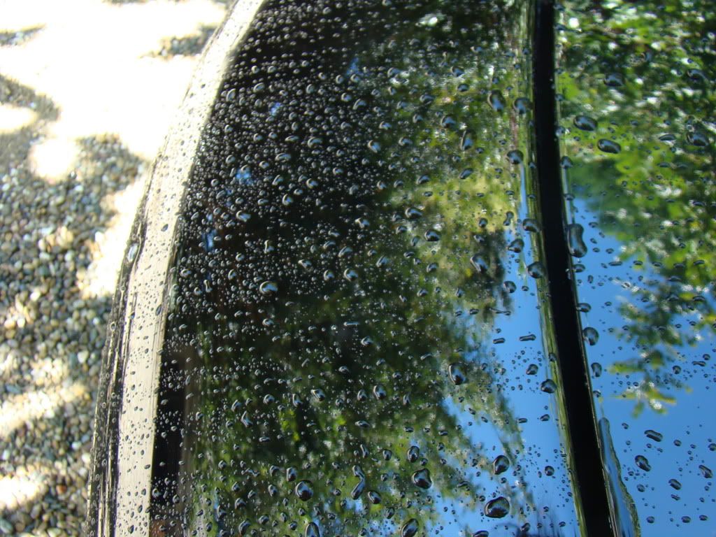DSC00710.jpg