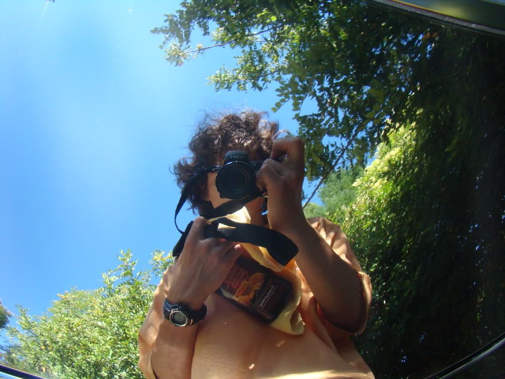 DSC00711.jpg