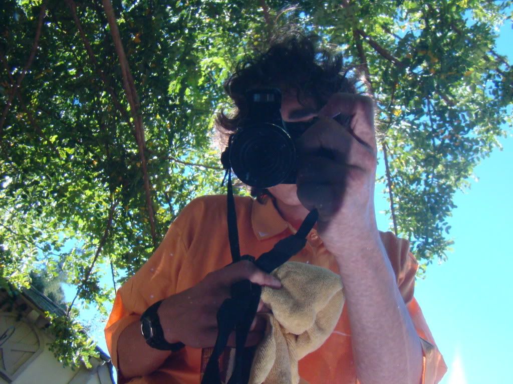 DSC00713.jpg