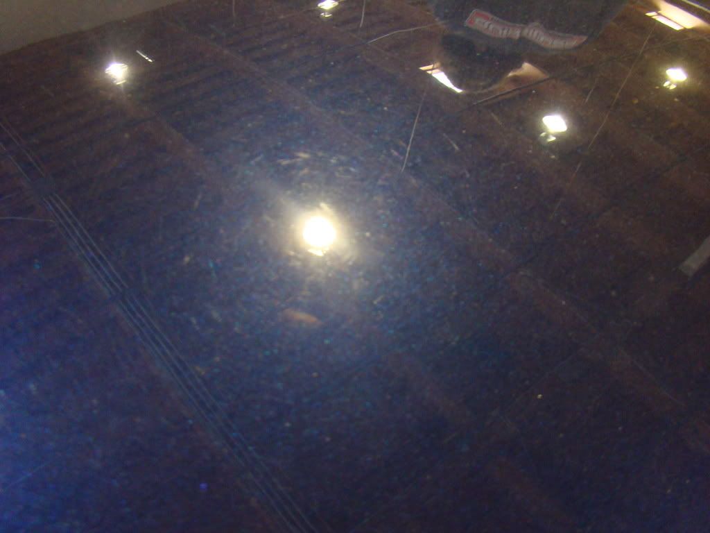 DSC01029.jpg