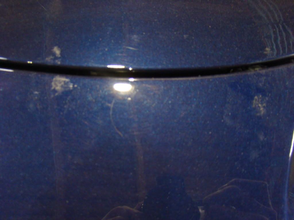 DSC01033.jpg