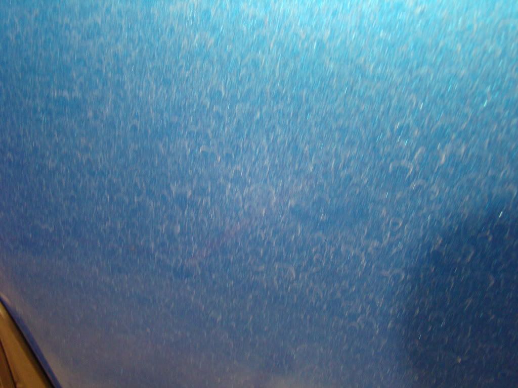 DSC01166.jpg