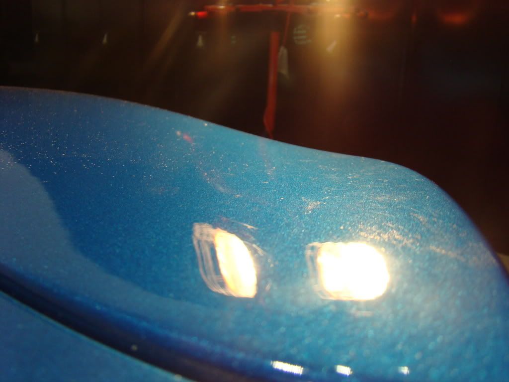 DSC01169.jpg