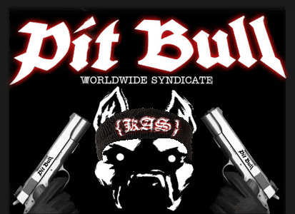 Pitbullkas.gif Pitbull Kas image by xeclips3