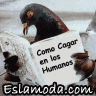Eslamoda.com