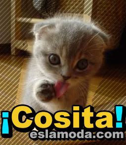 cosas para el facebook. aplicaci