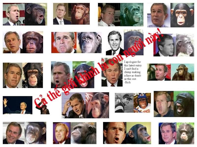 BUSH11.jpg
