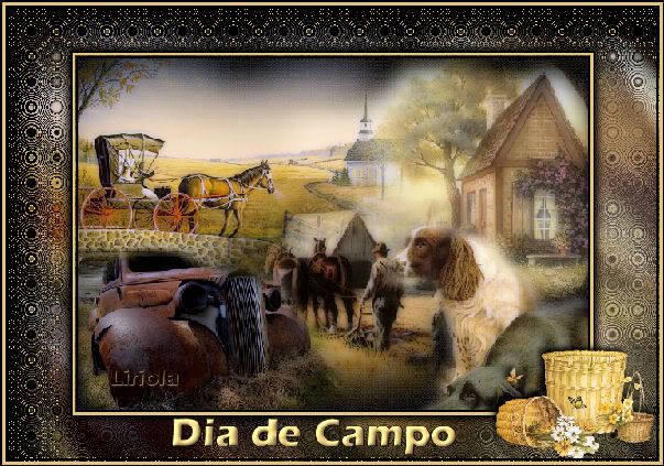 DIADECAMPO.jpg picture by LIRIO_011