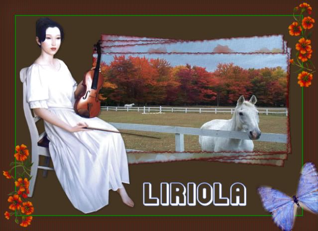 VIOLINL.jpg picture by LIRIO_011