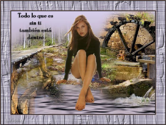 TODOLOQUEESSINTI.jpg picture by LIRIO_011