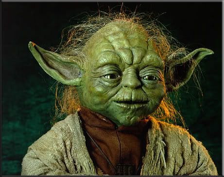 yoda-1.jpg