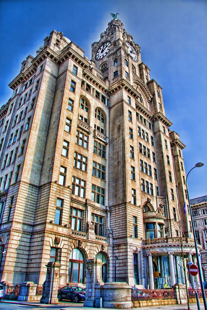 liver building Pictures, Images and Photos