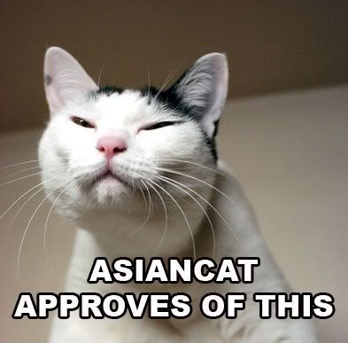 Asiancat-1.jpg