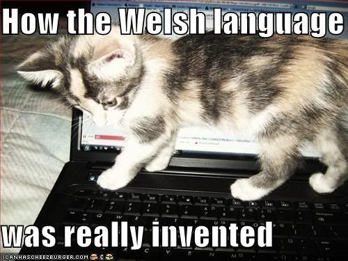 WelshLanguage-1.jpg