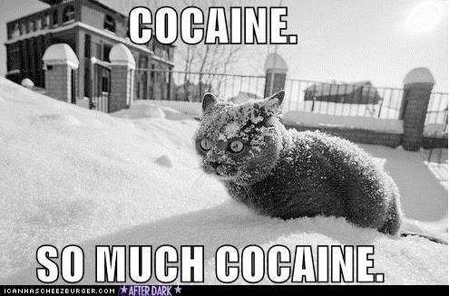 somuchcocaine.jpg