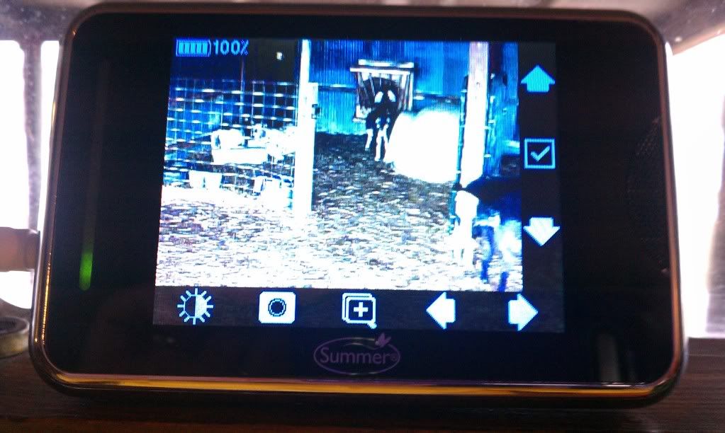 Baby monitors? - Goats