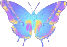 ANIMATED Rainbow Butterfly