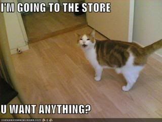 Forum Image: http://i199.photobucket.com/albums/aa288/Blitzer0101/cats/funny-pictures-cat-going-to-store.jpg