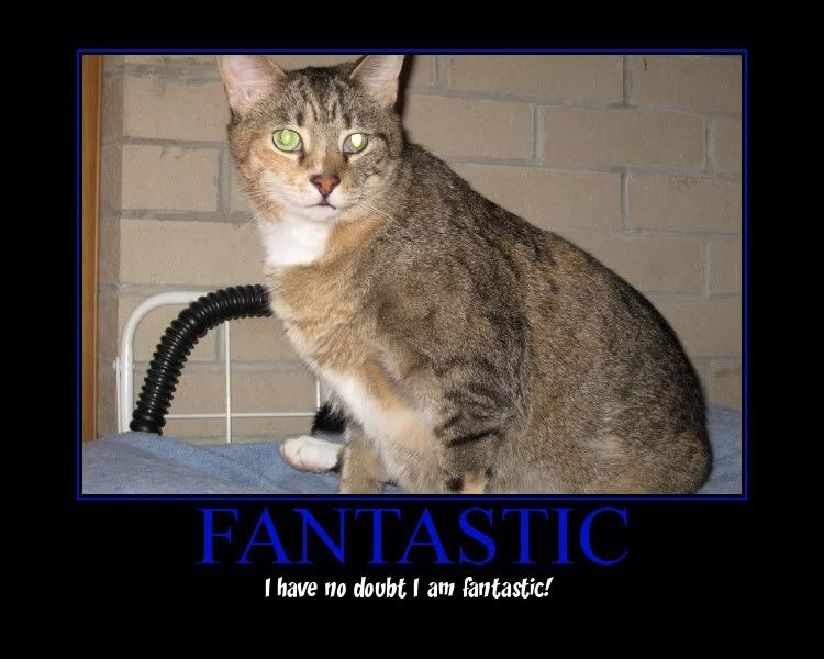 Click the image to open in full size.