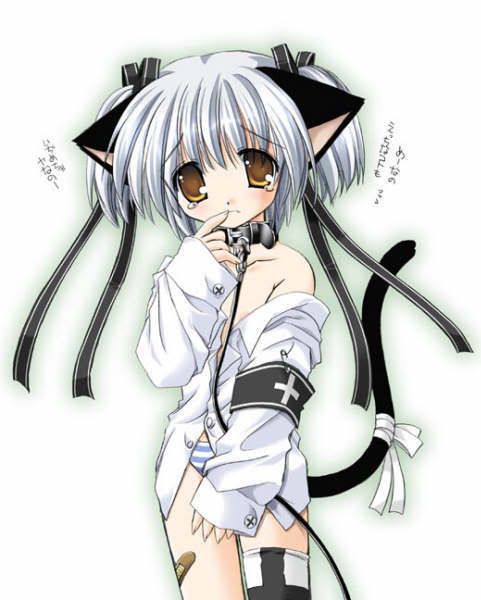 <img:http://i199.photobucket.com/albums/aa288/SilncedHappiness/Anime/Neko/akeome.jpg>