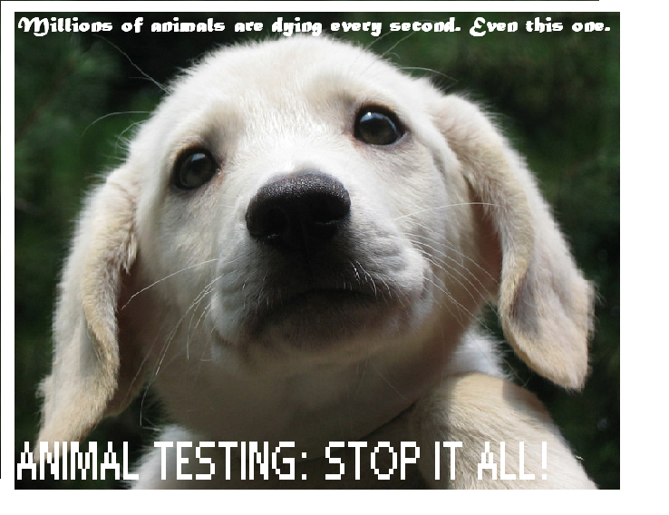 animal testing pictures. Animal Testing Banner