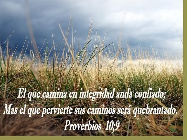 Proverbios109.jpg image by chaymigue