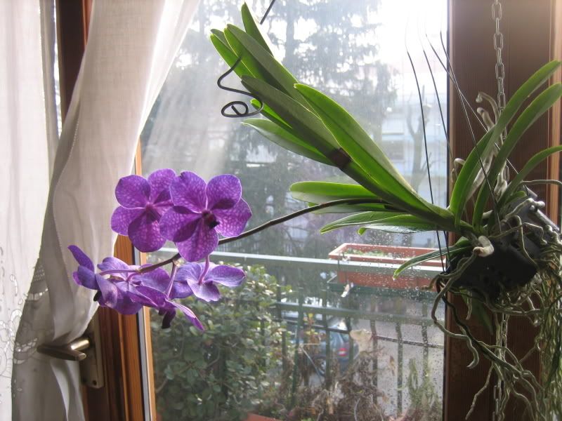 022-2.jpg