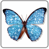 BLUE PINK GLIT BUTTERFLY