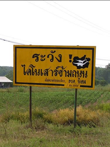 ไปบ้านคุณยายทวด พิพิธภัณฑ์ได นเสาร์