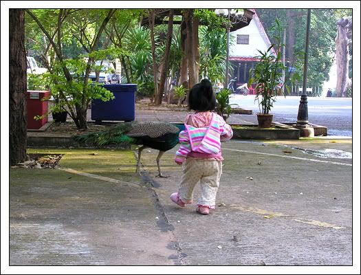 ไปบ้านคุณยายทวด พิพิธภัณฑ์ได นเสาร์