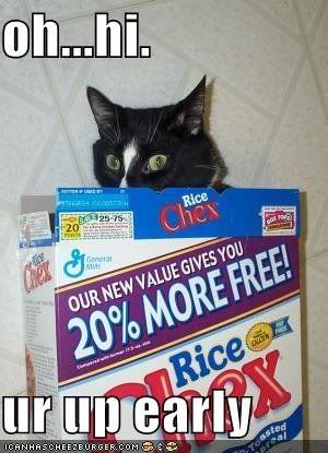 cerealcat.jpg