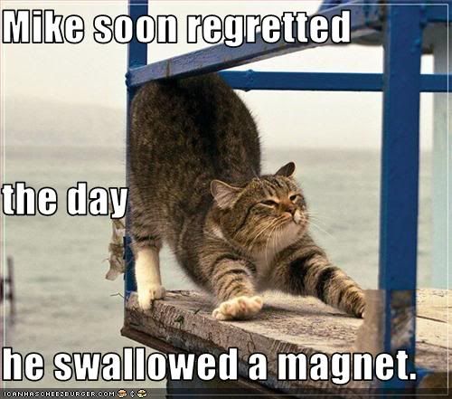 funny-pictures-cat-regrets-swallowi.jpg