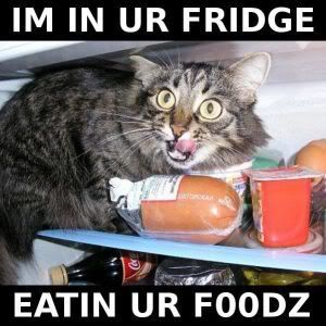 inurfridge.jpg