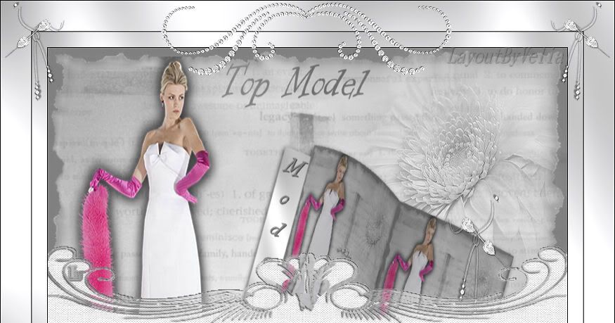 topmodel-top.jpg picture by brujitalinda54