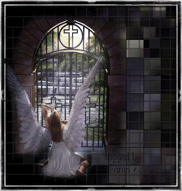 ang8c4066541418_myspace.gif glitter angel image by WingedVampireAngel